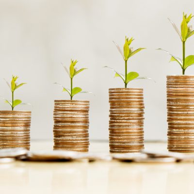 shutterstock_785324983 ערימת מטבעות שמתוכם צומח צמח